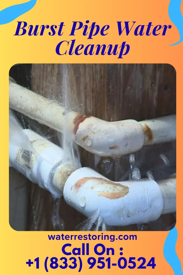 Burst Pipe Water Cleanup in Scio, OH