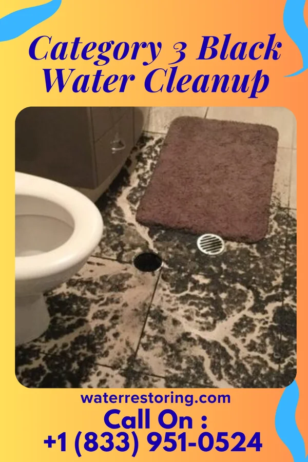 Category 3 Black Water Cleanup in Scio, OH